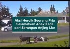 Aksi Heroik Seorang Pria Selamatkan Anak Kecil dari Serangan Anjing Liar
