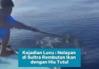 Momen unik sekaligus menggelitik terjadi di perairan Sultra!