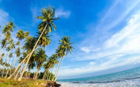 Biduk Biduk, Permata Wisata Pesisir Berau dengan Pesona Alam Karst dan Bahari