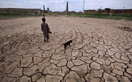 Sinyal El Nino Menguat, Ancaman Kekeringan dan Krisis Air Mengintai