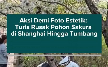 Aksi Demi Foto Estetik: Turis Rusak Pohon Sakura di Shanghai Hingga Tumbang
