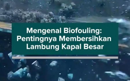 Mengenal Biofouling: Pentingnya Membersihkan Lambung Kapal Besar