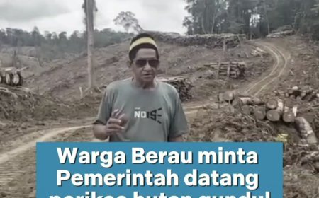 Warga Berau menyayangkan adanya dugaan pembalakan liar di hutan jalan poros Berau-Bulungan akhir-akhir ini