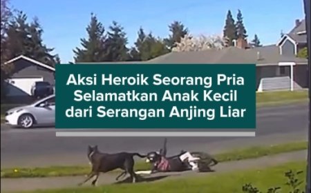 Aksi Heroik Seorang Pria Selamatkan Anak Kecil dari Serangan Anjing Liar