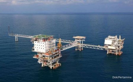 Anugerah dari Cekungan Kutai: Temuan Gas 5 Tcf Siap Perkuat Hilirisasi Nasional