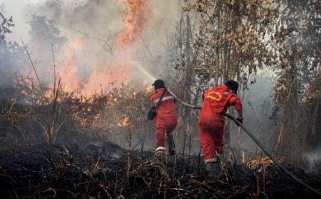 Titik Panas Bermunculan, BPBD Paser Tetapkan Batu Kajang Status Prioritas Karhutla