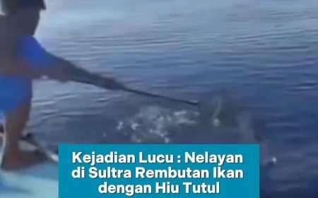 Momen unik sekaligus menggelitik terjadi di perairan Sultra!