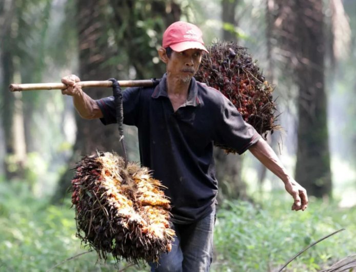 ESDM RI Tetapkan BBN Rp.14.643 Per-liter mulai Juni 2026