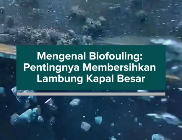 Mengenal Biofouling: Pentingnya Membersihkan Lambung Kapal Besar