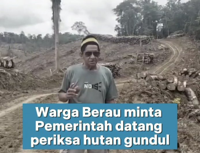 Warga Berau menyayangkan adanya dugaan pembalakan liar di hutan jalan poros Berau-Bulungan akhir-akhir ini