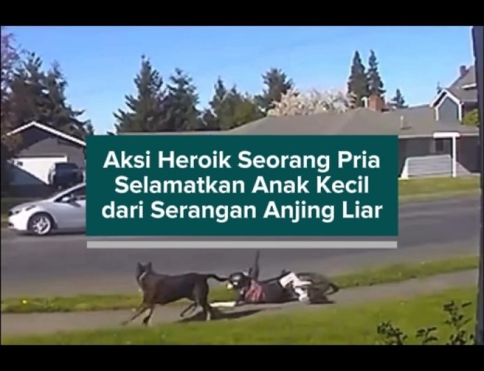 Aksi Heroik Seorang Pria Selamatkan Anak Kecil dari Serangan Anjing Liar