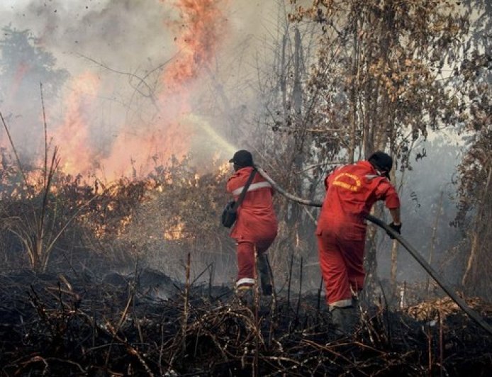 Titik Panas Bermunculan, BPBD Paser Tetapkan Batu Kajang Status Prioritas Karhutla