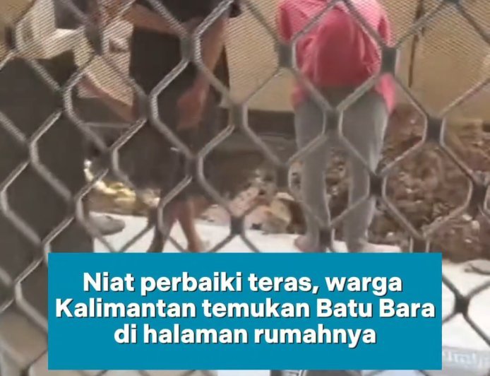 Emas Hitam di Teras Rumah