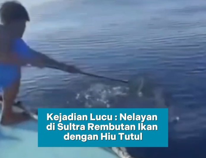 Momen unik sekaligus menggelitik terjadi di perairan Sultra!