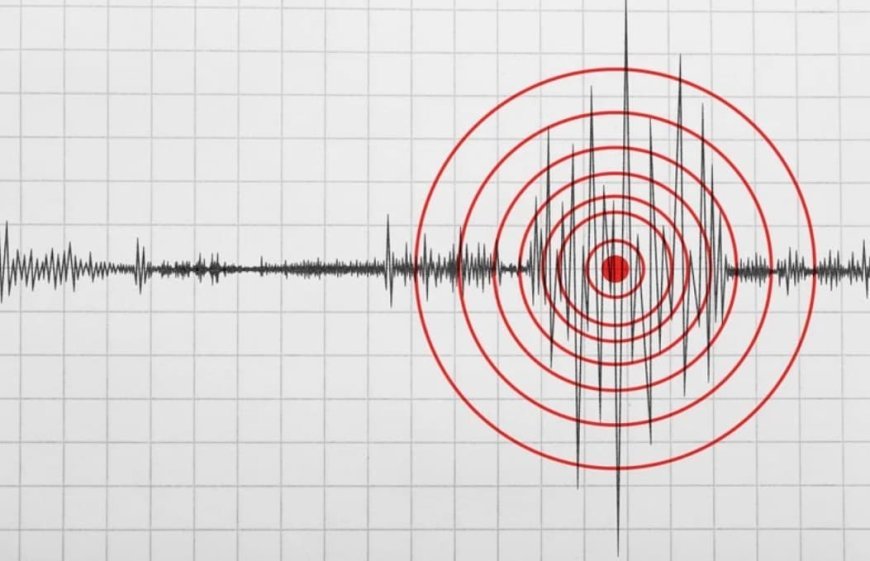 Gempa M 7,6 Guncang Bitung, BNPB Laporkan Adanya Gelombang Tsunami Kecil