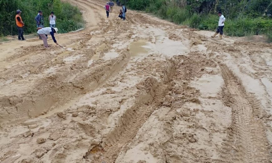Akses Krayan Tengah-Timur Terancam Putus, Empat Jembatan Kayu Dilaporkan Rapuh