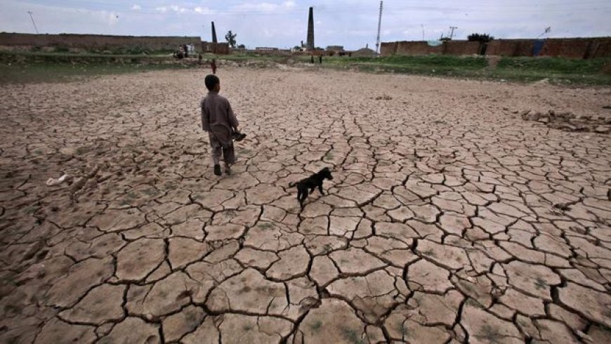 Sinyal El Nino Menguat, Ancaman Kekeringan dan Krisis Air Mengintai
