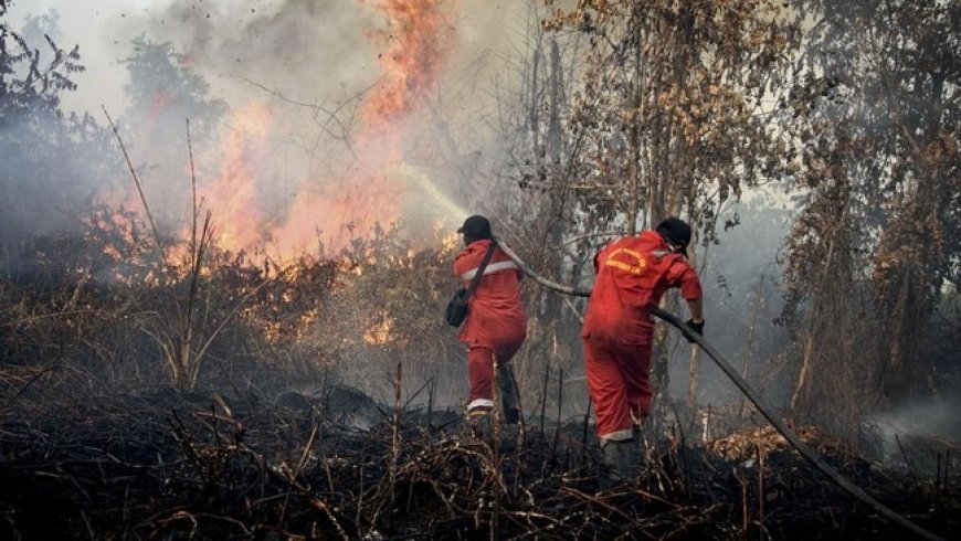Titik Panas Bermunculan, BPBD Paser Tetapkan Batu Kajang Status Prioritas Karhutla