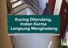 Kucing Ditendang, Instan Karma Langsung Menghadang