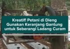 Kreatif! Petani di Dieng Gunakan Keranjang Gantung untuk Seberangi Ladang Curam