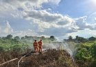 Picu Karhutla Akibat Bersihkan Lahan, BPBD Berau Jinakkan Api di Kawasan Sambaliung