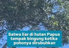 RUMAH MEREKA HANCUR DALAM SEKEJAP