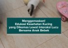Menggemaskan! Edukasi Kesehatan Kucing yang Dikemas Lewat Interaksi Lucu Bersama Anak Bebek