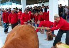 IKN Gelar Salat Iduladha Perdana di Masjid Negara, Ribuan Paket Daging Kurban Disalurkan