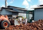 Ditopang Harga Global, PT Palma Serasi Tbk Catat Produksi CPO 140,2 Ribu Ton di Kaltim