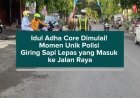 Idul Adha Core Dimulai! Momen Unik Polisi Giring Sapi Lepas yang Masuk ke Jalan Raya