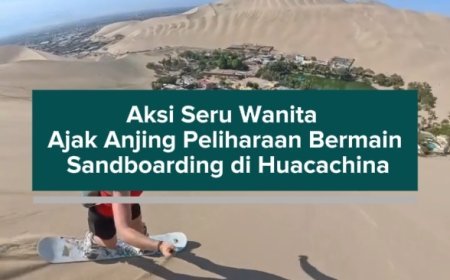 Aksi Seru Wanita Ajak Anjing Peliharaan Bermain Sandboarding di Huacachina