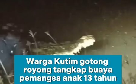 Puluhan Warga Tangkap Buaya di Kutim