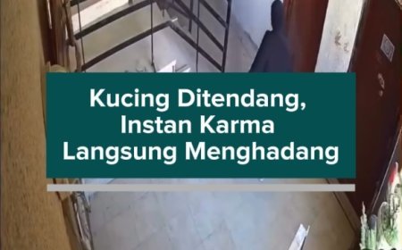 Kucing Ditendang, Instan Karma Langsung Menghadang