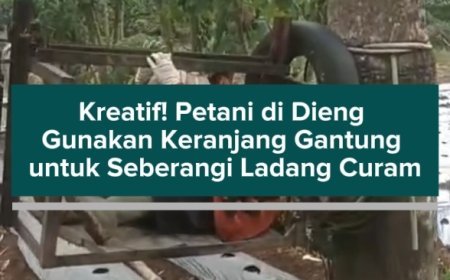 Kreatif! Petani di Dieng Gunakan Keranjang Gantung untuk Seberangi Ladang Curam