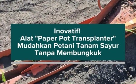 Inovatif! Alat "Paper Pot Transplanter" Mudahkan Petani Tanam Sayur Tanpa Membungkuk