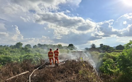 Picu Karhutla Akibat Bersihkan Lahan, BPBD Berau Jinakkan Api di Kawasan Sambaliung