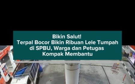 Bikin Salut! Terpal Bocor Bikin Ribuan Lele Tumpah di SPBU, Warga dan Petugas Kompak Membantu