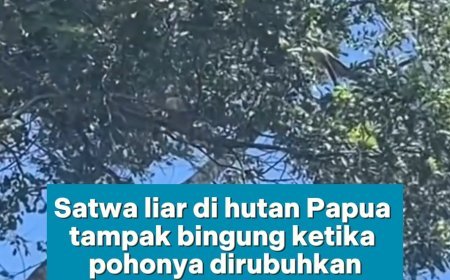 RUMAH MEREKA HANCUR DALAM SEKEJAP