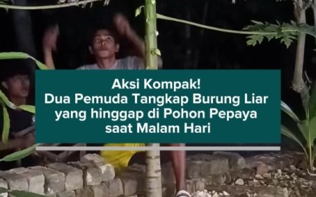 Aksi Kompak! Dua Pemuda Tangkap Burung Liar yang hinggap di Pohon Pepaya saat Malam Hari