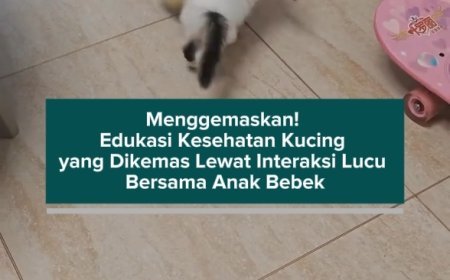 Menggemaskan! Edukasi Kesehatan Kucing yang Dikemas Lewat Interaksi Lucu Bersama Anak Bebek