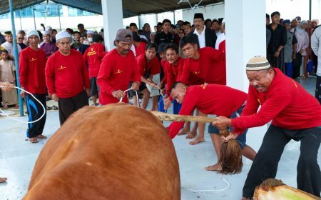 IKN Gelar Salat Iduladha Perdana di Masjid Negara, Ribuan Paket Daging Kurban Disalurkan