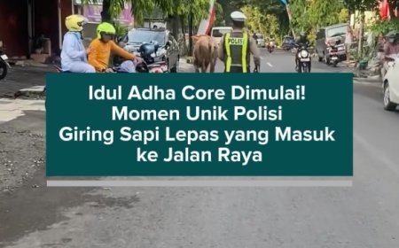 Idul Adha Core Dimulai! Momen Unik Polisi Giring Sapi Lepas yang Masuk ke Jalan Raya