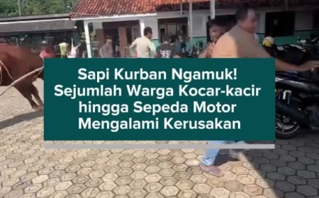 Sapi Kurban Ngamuk! Sejumlah Warga Kocar-kacir hingga Sepeda Motor Mengalami Kerusakan