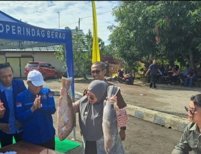 Pasar Murah Ikan di PPI Sambaliung Ramai Peminat, Bupati Berau Beri Apresiasi Tinggi