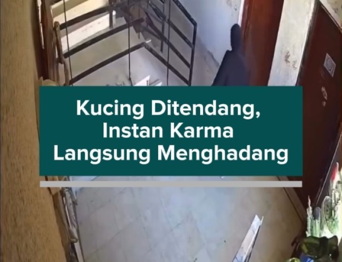 Kucing Ditendang, Instan Karma Langsung Menghadang