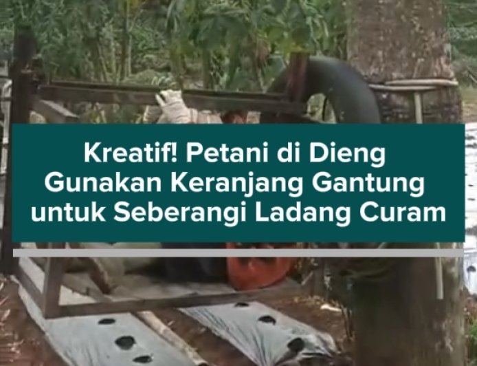 Kreatif! Petani di Dieng Gunakan Keranjang Gantung untuk Seberangi Ladang Curam