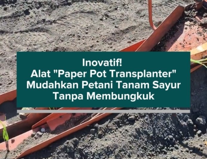 Inovatif! Alat "Paper Pot Transplanter" Mudahkan Petani Tanam Sayur Tanpa Membungkuk