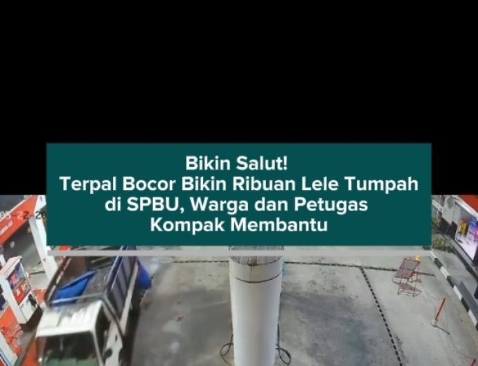 Bikin Salut! Terpal Bocor Bikin Ribuan Lele Tumpah di SPBU, Warga dan Petugas Kompak Membantu