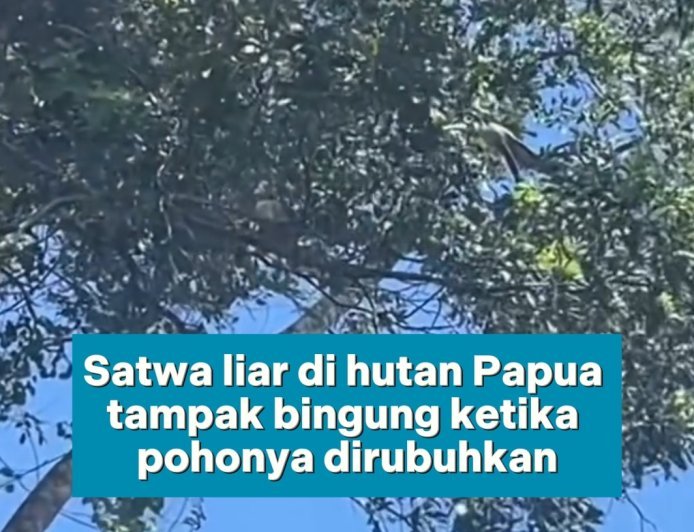 RUMAH MEREKA HANCUR DALAM SEKEJAP