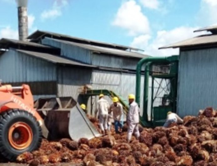 Ditopang Harga Global, PT Palma Serasi Tbk Catat Produksi CPO 140,2 Ribu Ton di Kaltim